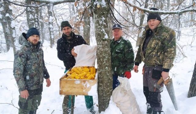 NOVOVAROŠKI LOVCI OBEZBIJEDILI HRANU ZA ZIMSKU PRIHRANU DIVLJAČI