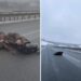 (VIDEO) Čovjek leži NASRED auto-puta “Miloš Veliki”