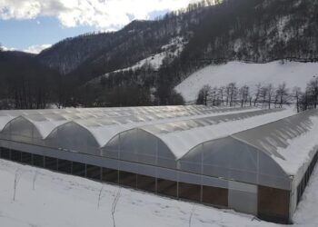 BJELOPOLJAC VUK RADOVIĆ USPJEŠNO SE BAVI PLASTENIČKOM PROIZVODNJOM