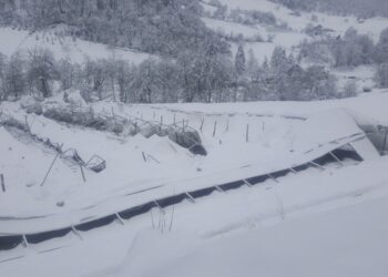 Snijeg sav trud bjelopoljske porodice sravnio sa zemljom