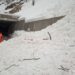 Crna Gora: Zbog lavine koja se obrušila, saobraćaj u prekidu na putu Žabljak-Šavnik