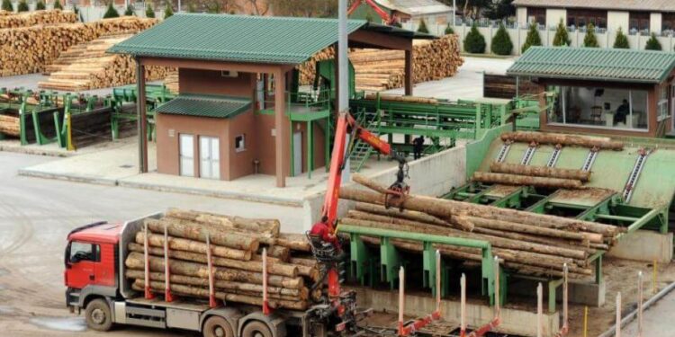 Vlada Crne Gore traži da se pljevaljskoj firmi “Vektri Jakić” zabrani sječa šume