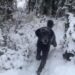 OPTIČKA ILUZIJA KOJA JE POSVAĐALA MNOGE: DA LI NA SLICI VIDITE PSA ILI ČOVJEKA?
