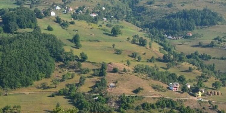 NESVAKIDAŠNJI SLUČAJ U SELU GODUŠA: USTRIJELJENA DVA LOVAČKA KERA