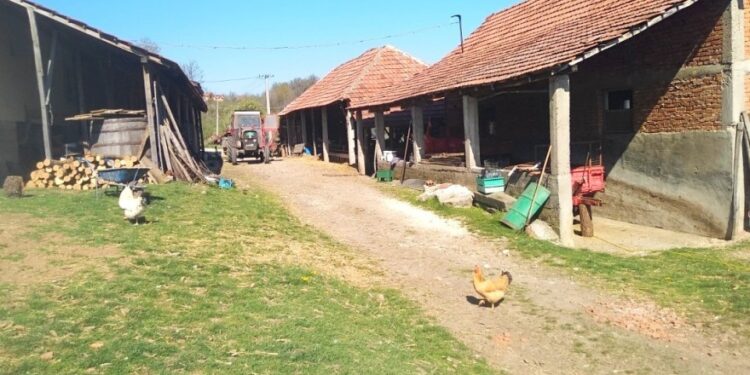 Kako registrovati poljoprivredno gazdinstvo?