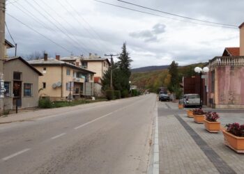 Opština Gadžin Han proglasila vanrednu situaciju zbog epidemije korona virusa