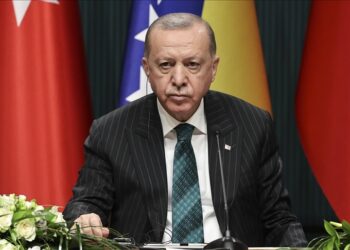 Erdogan: Nastavljamo pomagati BiH u borbi s pandemijom