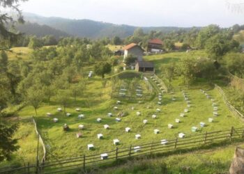 Stručnjaci savjetuju: Zasade voća planirati prema biološkim karakteristikama