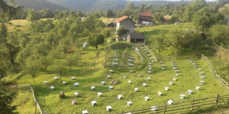 Stručnjaci savjetuju: Zasade voća planirati prema biološkim karakteristikama