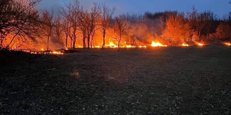 VATROGASCI GASE POŽAR U BIJELOM POLJU
