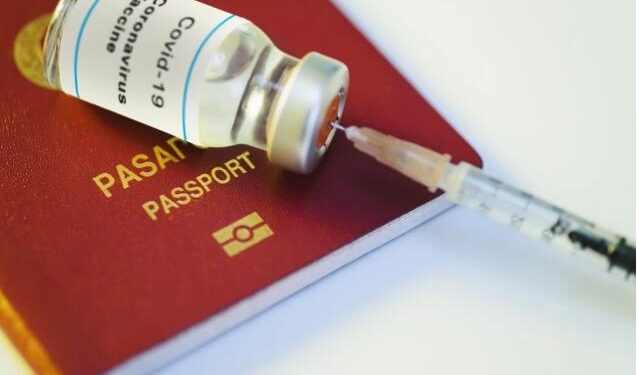 EU PRESJEKLA / Otkriveno kako će izgledati “kovid-pasoši”: Postojaće tri uslova za slobodno kretanje, a važiće OVE VAKCINE
