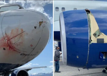 Drama u zraku: Avion s košarkašima Juta Džeza jedva se spasio nakon što je naletio na jato ptica