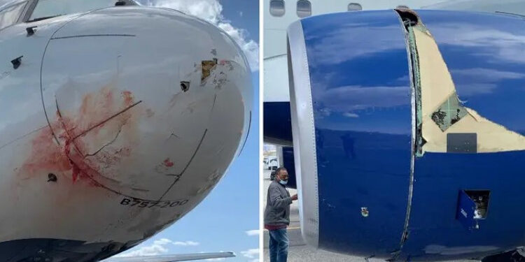 Drama u zraku: Avion s košarkašima Juta Džeza jedva se spasio nakon što je naletio na jato ptica