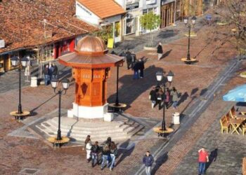 Privatni apotekari u Novom Pazaru oksimetre prodaju tri puta skuplje