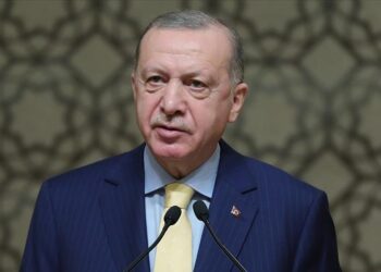 Predsjednik Erdogan uputio telegram saučešća povodom smrti Rafeta Husovića