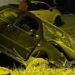 Novi Pazar: Automobil SLETIO s kolovoza u privatni posjed!