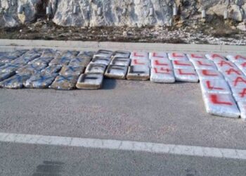 NA GRANICI BIH I CRNE GORE OTKRIVENO 150 KILOGRAMA SKANKA
