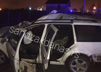 Sjenica: Automobil udario konja, pa ga prepolovio (UZNEMIRUJUĆI SADRŽAJ)