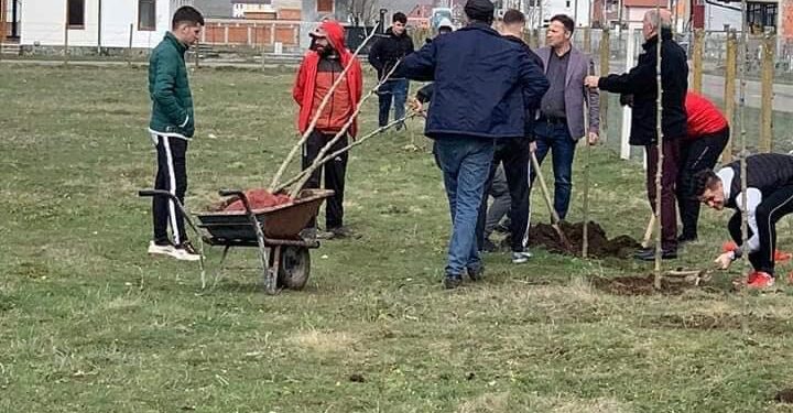 Na Dan planete Zemlje, na Donjoj Pešteri zasađeno stotinu sadnica Platana