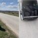 Nastavljena akcija čišćenja smeća na Donjoj Pešteri