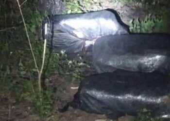 UP: Spriječeno krijumčarenje 110 kg skanka iz Albanije
