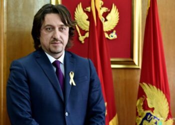 Sergej Sekulović: MINISTRI KOJI IMAJU DVOJNO DRŽAVLJANSTVO, GUBE CRNOGORSKO!