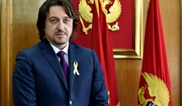Sergej Sekulović: MINISTRI KOJI IMAJU DVOJNO DRŽAVLJANSTVO, GUBE CRNOGORSKO!