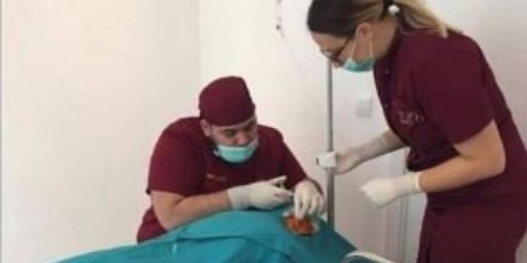 Lažni plastični hirurg iz Batajnice unakazio desetine ljudi,pričao da je završio medicinu na Harvardu