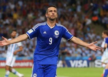 Veliki Vedad Ibišević donirao 20.000 eura za narode BiH i Palestine