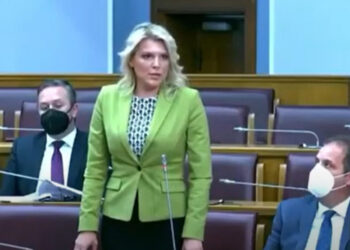 DRAGINJA Vuksanović Stanković: JASNO JE DA JE DRITAN OBIČAN”TROJANSKI KONJ” koga niko ništa ne pita