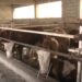 (VIDEO) SJAJAN MLADI DOMAĆIN KOJI JE OSTAO NA SELU! Pogledajte kako je sredio farmu junadi!