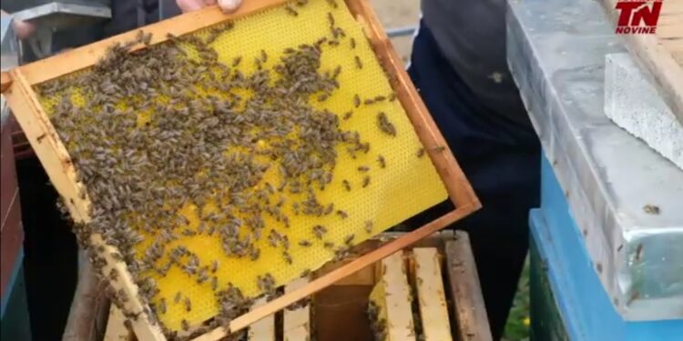 (VIDEO) Tutinski pčelari dočekuju spremno ovogodišnju sezonu pčelarenja