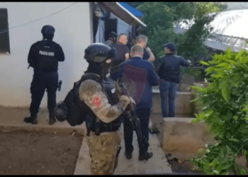 (VIDEO) „Zora“ u Albaniji: Otkriveno imanje za marihuanu u Kroji, uhapšeno 16, potraga za 24 lica