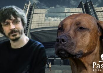 Crkvenjaku optuženom da je godinama silovao psa sudiće se u odsustvu