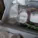 Policija u zamrzivaču pronašla više od 4 kilograma droge