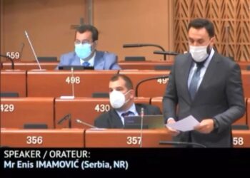 Imamović informisao komitet Savjeta Evrope o stanju u Srbiji nakon presude Mladiću i prijedlozima za rješavanje statusa Sandžaka i Bošnjaka
