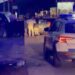 Zbog udesa na Banjskoj petlji hospitalizovane tri osobe (VIDEO)