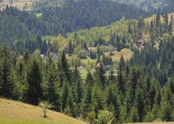 Poginuo traktorista u Novoj Varoši