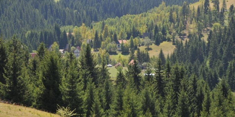 Poginuo traktorista u Novoj Varoši