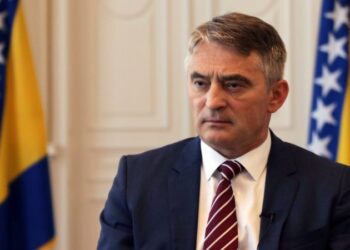 Komšić: Presuda Mladiću govori da RS nikada neće biti nezavisna