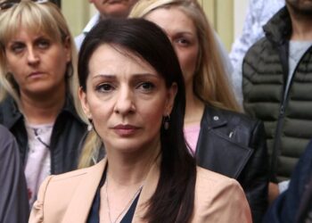 Marinića Tepić: Kineski radnici u okolini Bora seksualno uznemiravali djevojčice