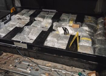 (VIDEO) Na GP Batrovci uhapšen muškarac sa 41 kilogram marihuane