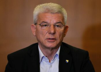 Džaferović o odluci Zvizdića: SDA je ideja, pokret, i nijedan odlazak neće umanjiti vrijednost SDA
