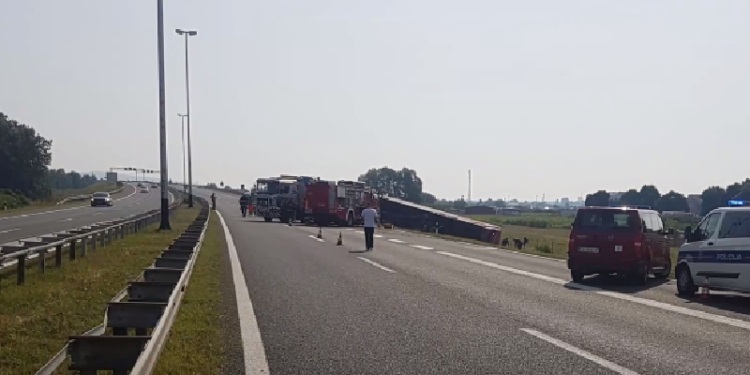 Vozač autobusa priznao da je zaspao za volanom, pa uhapšen