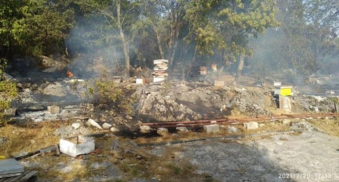 TREBINJSKOM PČELARU POŽAR UNIŠTIO PČELINJAK: PRIČINJENA ŠTETA OD VIŠE HILJADA MARAKA