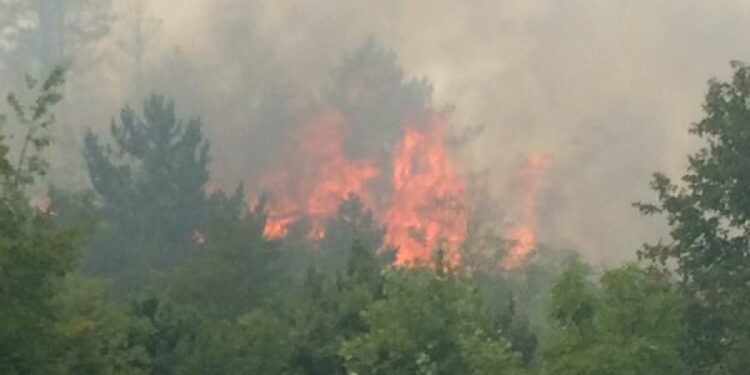 Požar u selu kraj Nikšića, ugrožene kuće: Vatrogasci sa avijacijom i kolegama iz Trebinja na terenu