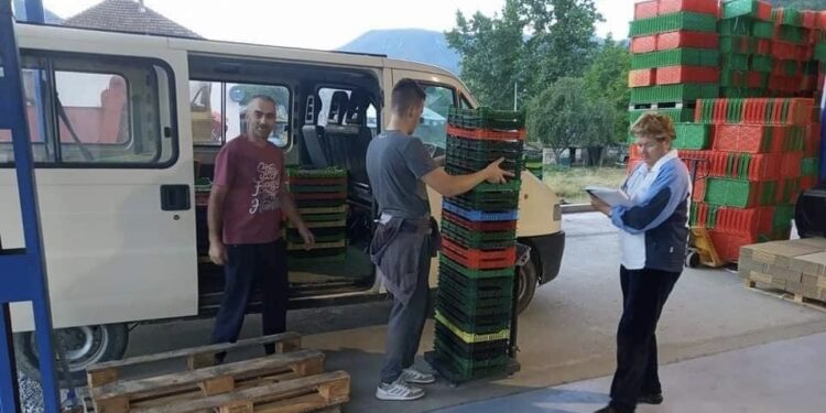 SANDŽAK: POČEO OTKUP MALINE
