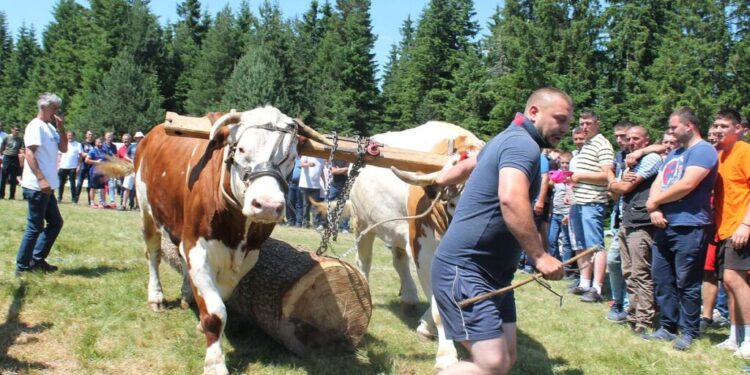 NOVA VAROŠ: RABADŽIJE ČUVAJU ČAST SELA