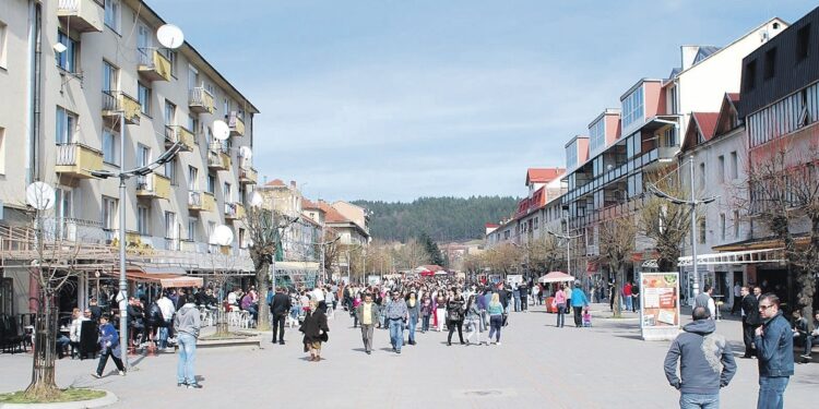 Pretresom kuće u Beranama ruskom državljaninu pronađene puške i municija