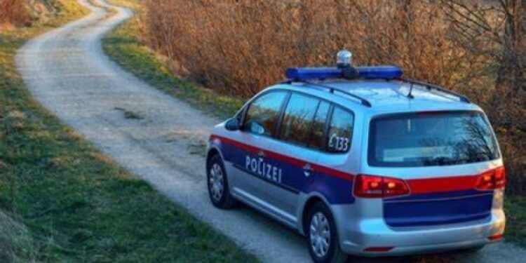 AUSTRIJSKA POLICIJA NA NOGAMA: Muškarac iz BiH nožem ubo suprugu u vrat pa pobjegao u boksericama